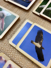 Load image into Gallery viewer, Match a Pair of Birds Wooden Memory Game
