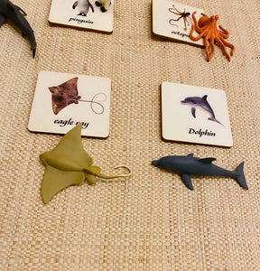 Montessori and Waldorf learning Sea life Animals