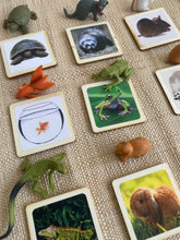 Load image into Gallery viewer, House Pets Animal Matching Game - 2 Part Cards with Safari Ltd
