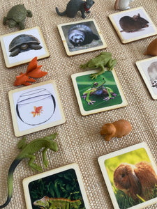 House Pets Animal Matching Game - 2 Part Cards with Safari Ltd