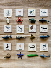 Load image into Gallery viewer, Montessori and Waldorf learning Sea life Animals
