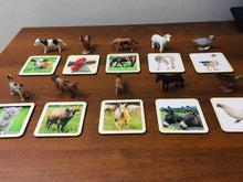 Load image into Gallery viewer, Montessori Farm Animals Farm Set with Wooden Matching 2 Part Cards
