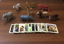 Load image into Gallery viewer, Montessori African Safari Animals Match Game with - 2 Part Wooden Cards
