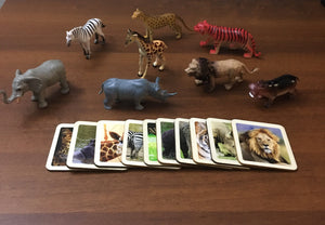 Montessori African Safari Animals Match Game with - 2 Part Wooden Cards