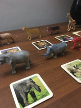 Load image into Gallery viewer, Montessori African Safari Animals Match Game with - 2 Part Wooden Cards
