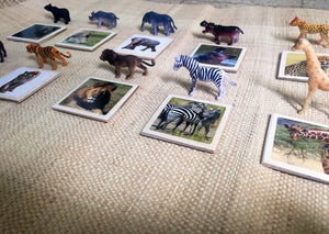 Montessori Zoo Animal Matching Game for Toddlers