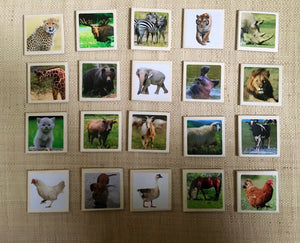 Realistic Wild & Farm Animal Flashcards for Toddlers- 30 Piece Set