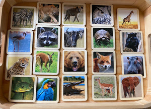 Realistic Wild & Farm Animal Flashcards for Toddlers- 30 Piece Set