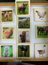 Load image into Gallery viewer, Montessori Wild and Farm Animals Wooden Flash Cards - 13 Piece Set Mixed
