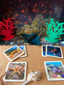 Montessori and Waldorf Inspired Sea Life Animal Matching and Memory Game -  18 Piece Set