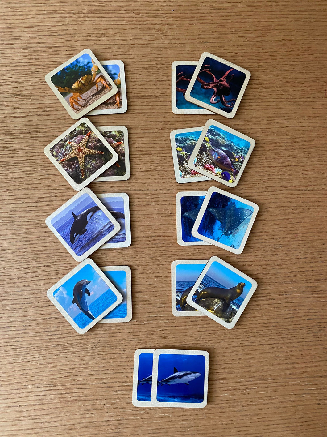 Montessori and Waldorf Inspired Sea Life Animal Matching and Memory Game -  18 Piece Set