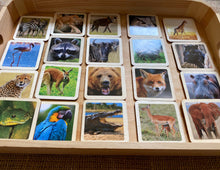 Load image into Gallery viewer, Montessori Wild and Farm Animals Wooden Flash Cards - 13 Piece Set Mixed

