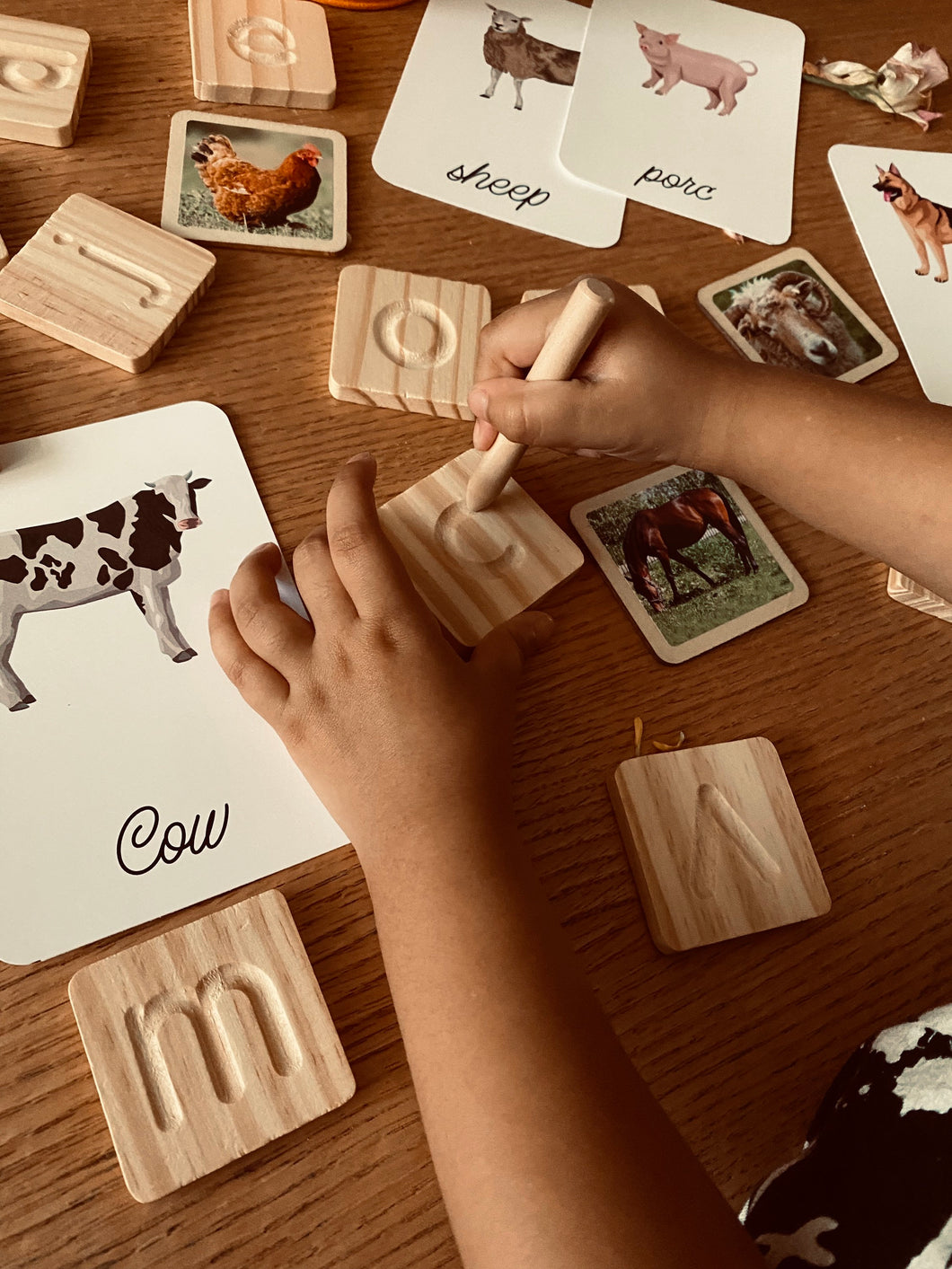Montessori Inspired Wood Tracing Cards, Animal Cards and Figurines