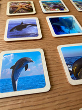 Load image into Gallery viewer, Montessori and Waldorf Inspired Sea Life Animal Matching and Memory Game -  18 Piece Set
