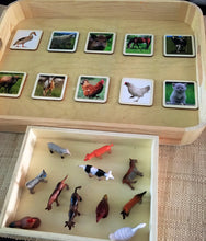 Load image into Gallery viewer, Montessori Farm Animals Farm Set with Wooden Matching 2 Part Cards
