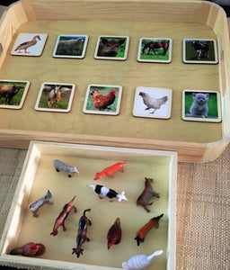 Montessori Farm Animals Farm Set with Wooden Matching 2 Part Cards