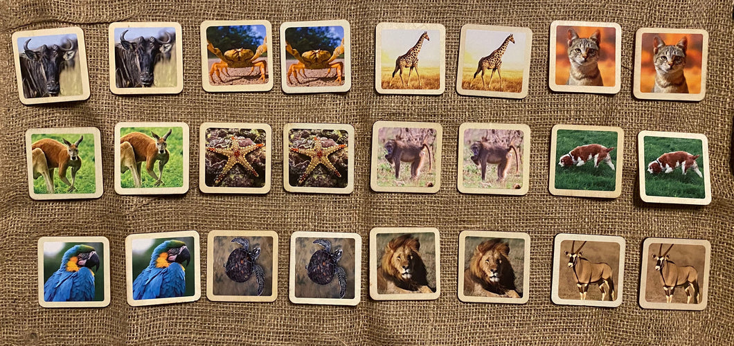 Montessori and Waldorf Inspired Animal Matching and Memory Game - 24 Piece Set