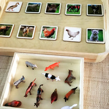 Load image into Gallery viewer, Montessori Inspired Wood Tracing Cards, Animal Cards and Figurines
