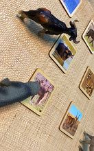 Load image into Gallery viewer, Montessori Forest Animal Matching Game with 2 Part Wooden Cards
