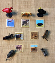 Load image into Gallery viewer, Montessori Forest Animal Matching Game with 2 Part Wooden Cards
